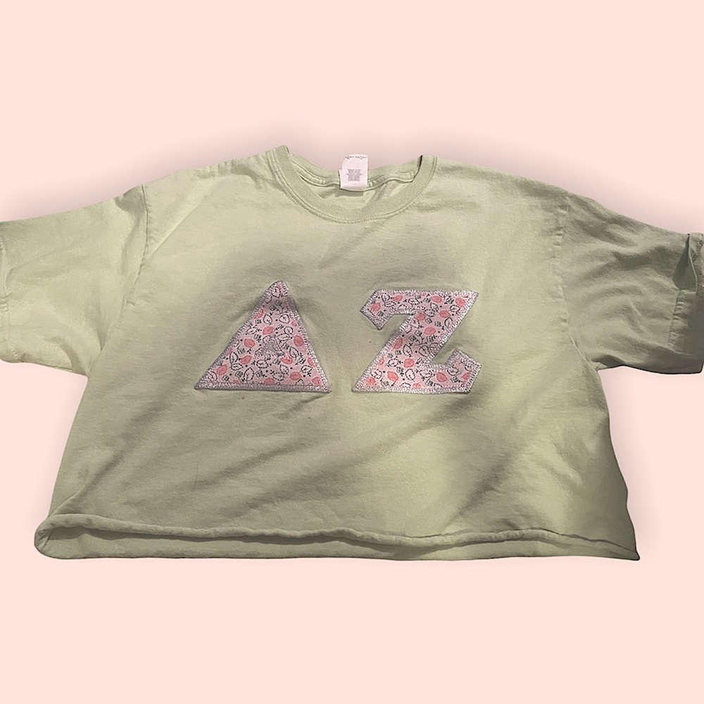 Delta zeta sorority t-shirt